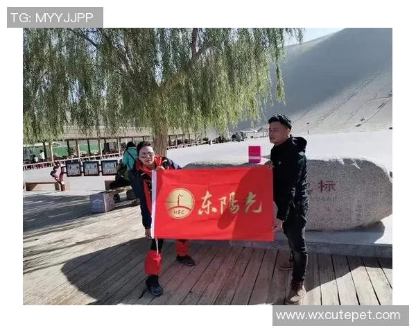 成都攀岩队的蜕变之路：从初心到巅峰的深度探索与启示