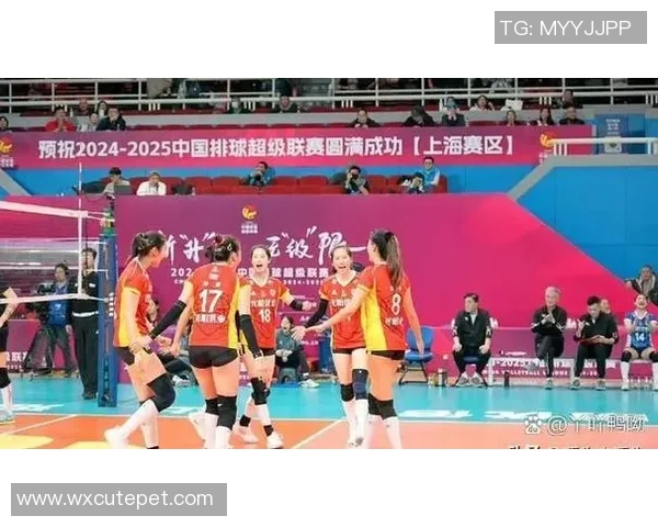 武汉排球队状态对比深度解析球队表现与未来发展趋势