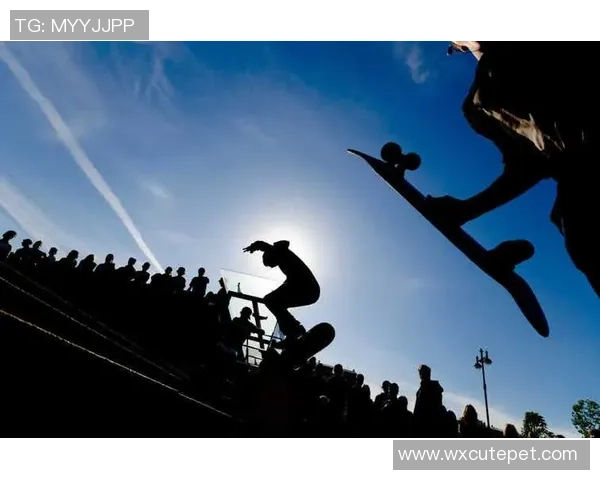 极限运动战术与节奏体系的融合探索：西安极限运动队的创新实践与发展