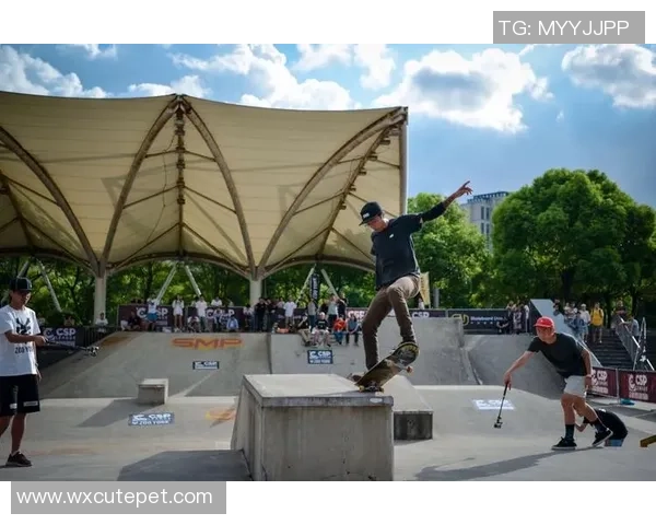 滑板文化的魅力与挑战：深入了解上海滑板队的灵活性与团队精神