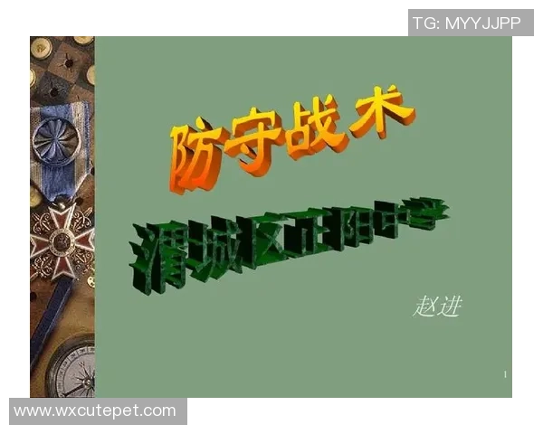 深度分析深圳篮球队独特防守策略与战术执行的成功之道